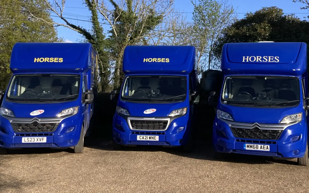 Equine Transport UK 3.5 tonne horsebox fleet